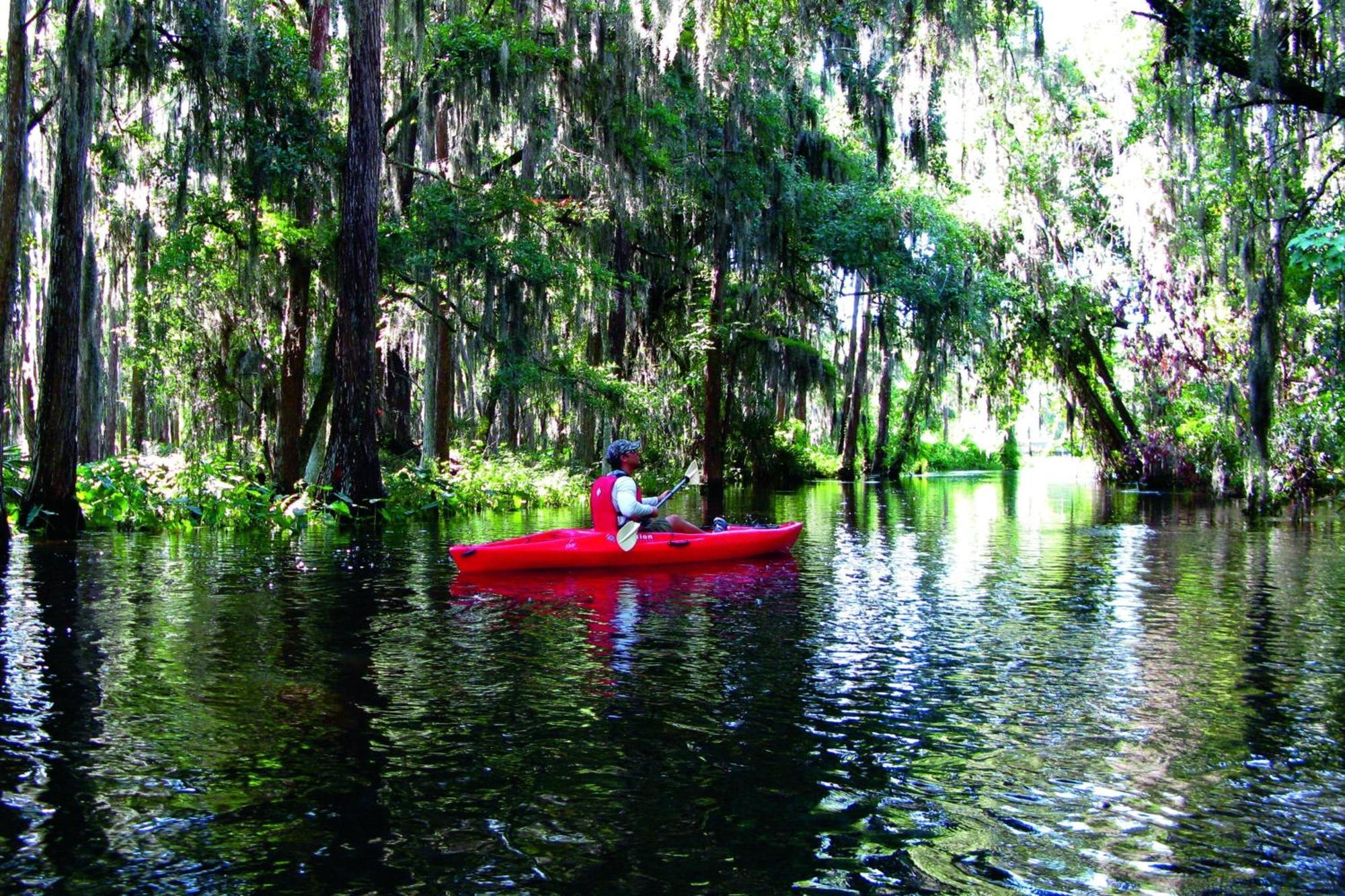 Jw Marriott Orlando Grande Lakes Williamsburg Eksteriør bilde