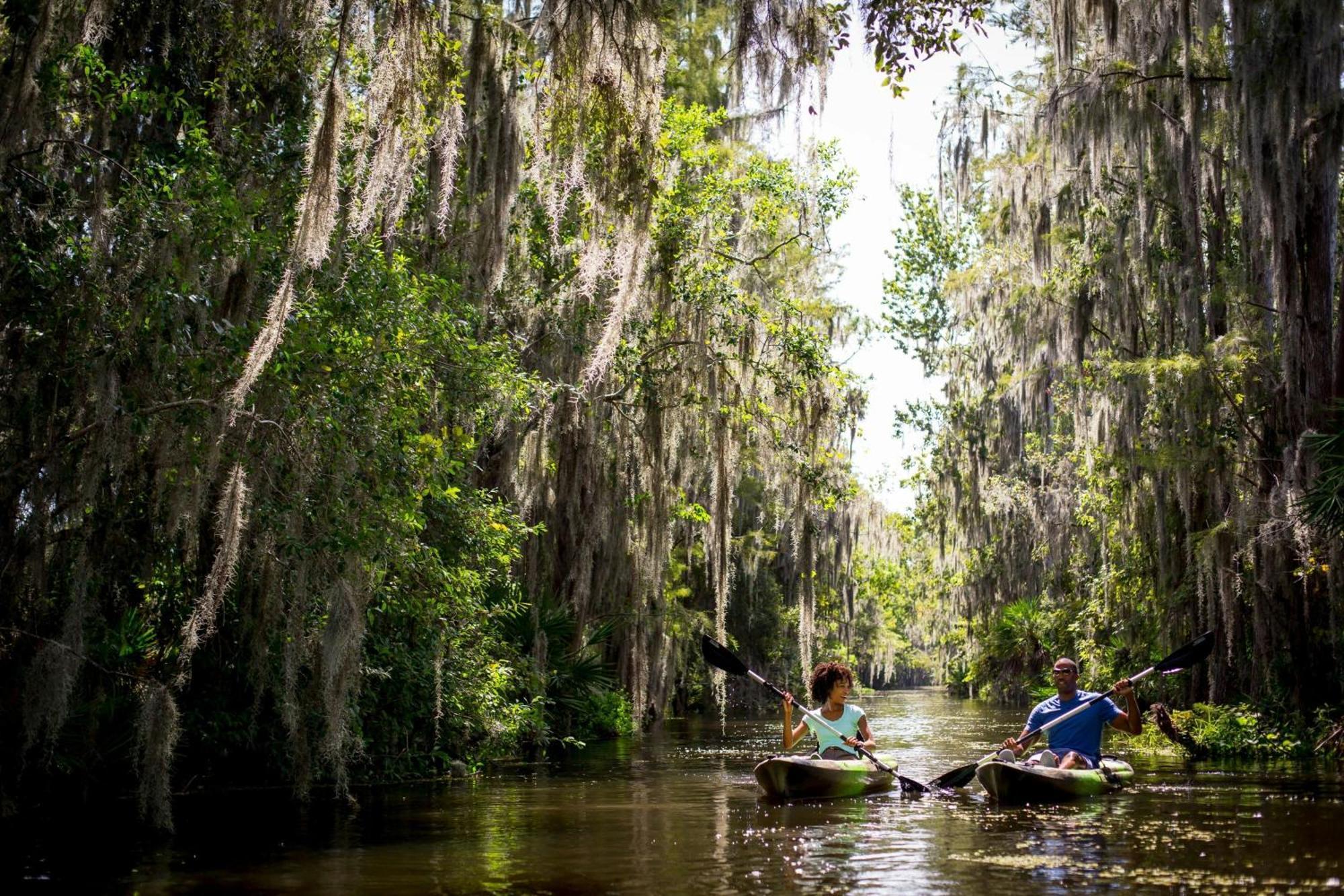 Jw Marriott Orlando Grande Lakes Williamsburg Eksteriør bilde